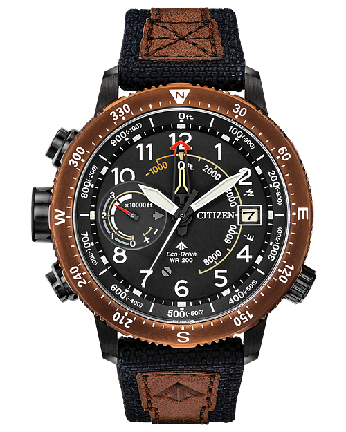 Citizen Promaster Altichron Eco Drive Stainless Steel Watch CITIZEN